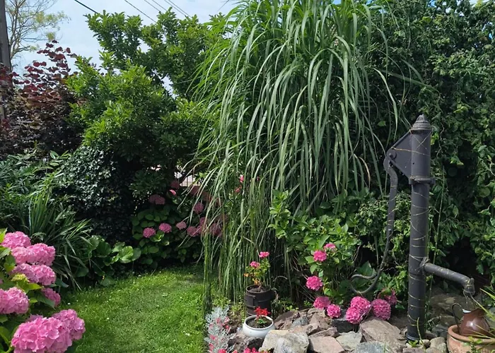 Gościnne CumaPensjonat