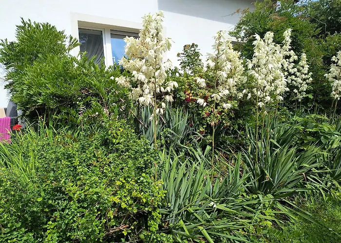 Gościnne CumaPensjonat